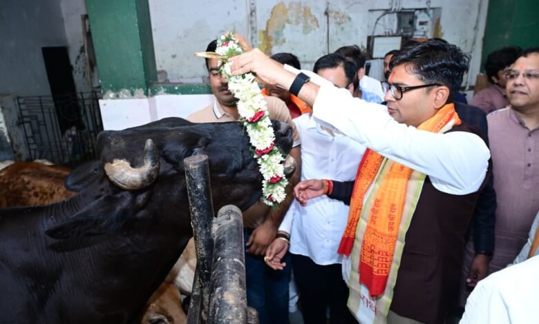 जन्मदिवस के अवसर पर वित्त मंत्री श्री ओपी चौधरी ने की गौ-सेवा, संरक्षण के प्रयासों को सराहा