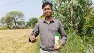रासायनिक खादों के भारी-भरकम बोझ से मिली मुक्ति, कम लागत और अधिक मुनाफे से चमक रही किस्मत