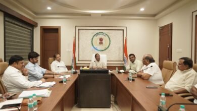 अंतराष्ट्रीय बाजार में सुगंधित चावल की है बड़ी डिमांड