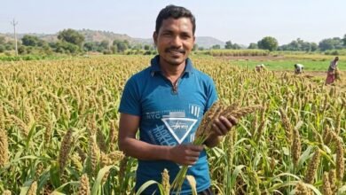 मिलेट से बढ़ी आय, किसानों के जीवन में आई खुशहाली