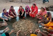 सीड बॉल बनाकर प्रकृति संरक्षण की अनूठी पहल, हरित जशपुर के निर्माण पर जोर