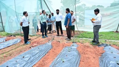 प्रभारी सचिव श्री अंकित आनंद ने ग्राम पतराटोली में उद्यानिकी एवं प्रक्षेत्र वानिकी का किया अवलोकन प्रभारी सचिव श्री अंकित आनंद ने ग्राम पतराटोली में उद्यानिकी एवं प्रक्षेत्र वानिकी का किया अवलोकन