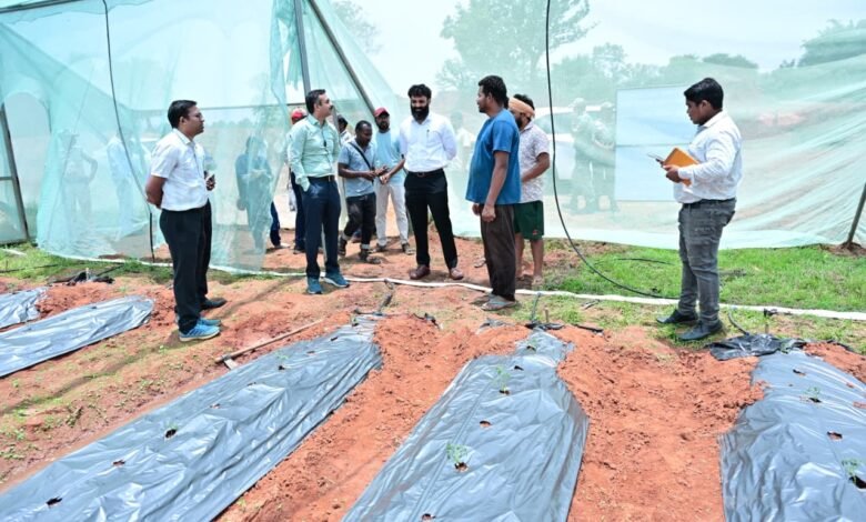 प्रभारी सचिव श्री अंकित आनंद ने ग्राम पतराटोली में उद्यानिकी एवं प्रक्षेत्र वानिकी का किया अवलोकन प्रभारी सचिव श्री अंकित आनंद ने ग्राम पतराटोली में उद्यानिकी एवं प्रक्षेत्र वानिकी का किया अवलोकन