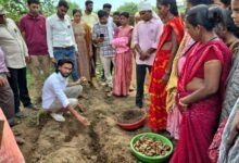 ​उत्पादन से लेकर प्रोसेसिंग और ब्रांडिंग तक की बनी मजबूत चेन