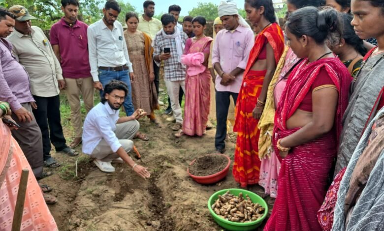 ​उत्पादन से लेकर प्रोसेसिंग और ब्रांडिंग तक की बनी मजबूत चेन