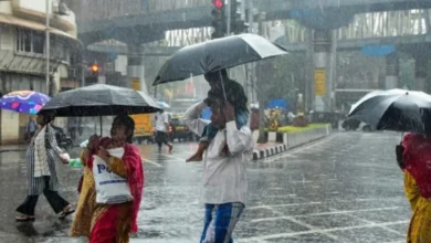 Chhattisgarh में मौसम बदला, रायपुर में सुबह से बादल आ रहे नजर