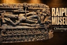 रायपुर में 8 से 12 जून तक विशेष प्रदर्शनी