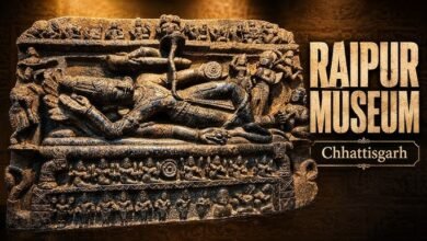 रायपुर में 8 से 12 जून तक विशेष प्रदर्शनी