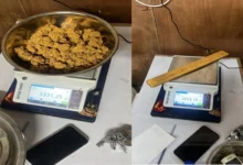 सोने की तस्करी करने वाले गिरोह का भंडाफोड़,15 किलो विदेशी मूल का सोना जब्त, 15 गिरफ्तार