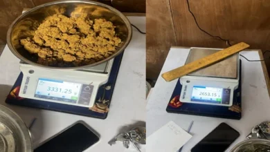 सोने की तस्करी करने वाले गिरोह का भंडाफोड़,15 किलो विदेशी मूल का सोना जब्त, 15 गिरफ्तार