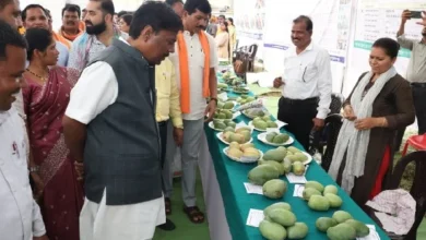 प्राकृतिक खेती अपनाकर किसान अपनी बढ़ाएं आय और बचाएं मिट्टी की उर्वरता : मंत्री केदार कश्यप प्राकृतिक खेती अपनाकर किसान अपनी बढ़ाएं आय और बचाएं मिट्टी की उर्वरता : मंत्री केदार कश्यप