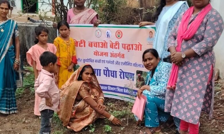 कुपोषण मुक्त छत्तीसगढ़ की दिशा में अनूठी पहल : मुनगा पौधारोपण से घर-घर पहुंचेगा पोषण का संदेश कुपोषण मुक्त छत्तीसगढ़ की दिशा में अनूठी पहल : मुनगा पौधारोपण से घर-घर पहुंचेगा पोषण का संदेश