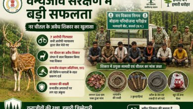 वन्यजीव संरक्षण में बड़ी सफलता वन्यजीव संरक्षण में बड़ी सफलता