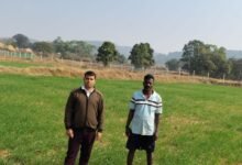कम लागत, दोगुना फायदा: जशपुर के किसान ने गेहूं की खेती से बढ़ाई आमदनी