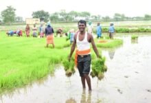 गौरेला पेन्ड्रा मरवाही जिले ने हासिल किया पीएम किसान सम्मान निधि योजना का 80 प्रतिशत लक्ष्य