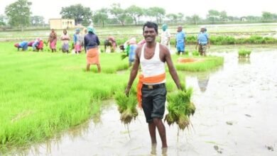 गौरेला पेन्ड्रा मरवाही जिले ने हासिल किया पीएम किसान सम्मान निधि योजना का 80 प्रतिशत लक्ष्य