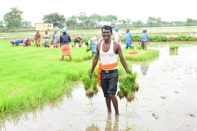 गौरेला पेन्ड्रा मरवाही जिले ने हासिल किया पीएम किसान सम्मान निधि योजना का 80 प्रतिशत लक्ष्य गौरेला पेन्ड्रा मरवाही जिले ने हासिल किया पीएम किसान सम्मान निधि योजना का 80 प्रतिशत लक्ष्य