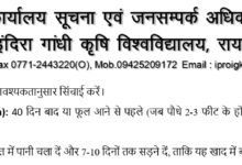 अधिक वर्षा की स्थिति में किसान लेही पद्दति से धान की करें बुआई