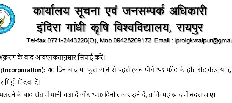 अधिक वर्षा की स्थिति में किसान लेही पद्दति से धान की करें बुआई अधिक वर्षा की स्थिति में किसान लेही पद्दति से धान की करें बुआई