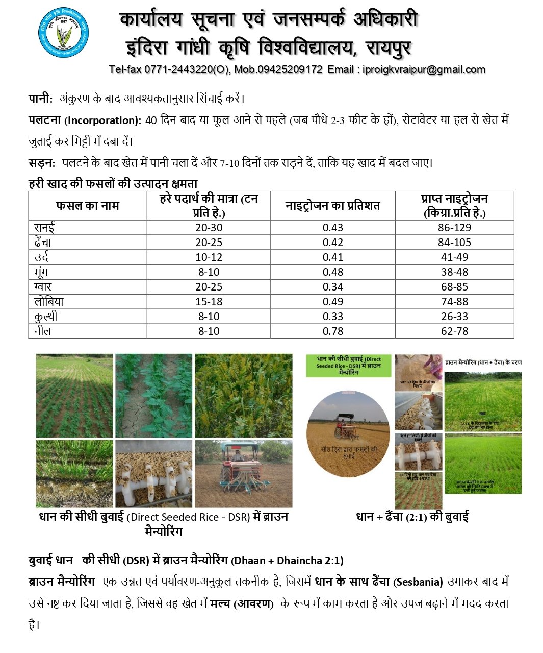 अधिक वर्षा की स्थिति में किसान लेही पद्दति से धान की करें बुआई 1 अधिक वर्षा की स्थिति में किसान लेही पद्दति से धान की करें बुआई