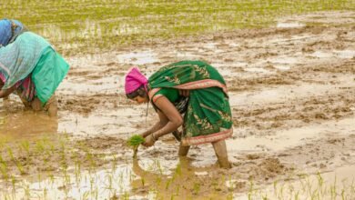 झमाझम बारिश से दूर हुई किसानों की चिंता