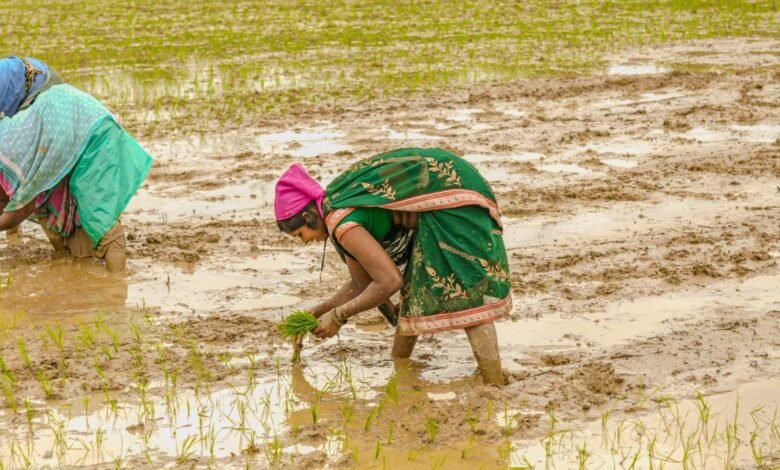 झमाझम बारिश से दूर हुई किसानों की चिंता झमाझम बारिश से दूर हुई किसानों की चिंता