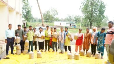 सुकमा में मशरूम उत्पादन का प्रशिक्षण बना आत्मनिर्भरता की नई राह सुकमा में मशरूम उत्पादन का प्रशिक्षण बना आत्मनिर्भरता की नई राह