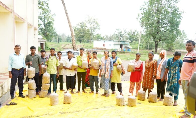 सुकमा में मशरूम उत्पादन का प्रशिक्षण बना आत्मनिर्भरता की नई राह सुकमा में मशरूम उत्पादन का प्रशिक्षण बना आत्मनिर्भरता की नई राह