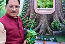 आज लगाया गया हर पौधा आने वाली पीढ़ियों के सुरक्षित भविष्य का आधार बनेगा : मुख्यमंत्री श्री विष्णुदेव साय