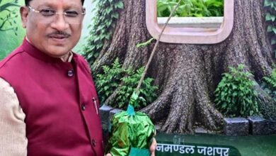 आज लगाया गया हर पौधा आने वाली पीढ़ियों के सुरक्षित भविष्य का आधार बनेगा : मुख्यमंत्री श्री विष्णुदेव साय