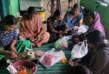 रायगढ़ में स्व-सहायता समूह की दीदियों ने तैयार कीं अनोखी बीज राखियां