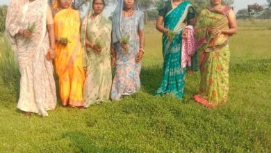 औषधीय पौधों की खेती से बदली महिलाओं की तकदीर, बढ़ेगा दायरा