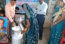 श्वेत क्रांति से संवरती ग्रामीण तकदीर: धमतरी में सहकारिता और महिला नेतृत्व से लिखी जा रही आत्मनिर्भरता की नई गाथा