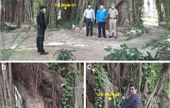 बिहार के मुंगेर में मिला सबसे पुराना और सटीक तिथि वाला बरगद का वृक्ष बिहार के मुंगेर में मिला सबसे पुराना और सटीक तिथि वाला बरगद का वृक्ष