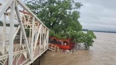 झमाझम बारिश से जनजीवन अस्त-व्यस्त, पैरी नदी उफान पर, कुलेश्वर मंदिर में चढ़ा पानी झमाझम बारिश से जनजीवन अस्त-व्यस्त, पैरी नदी उफान पर, कुलेश्वर मंदिर में चढ़ा पानी