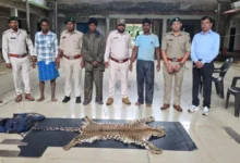 धौड़ाई में वन विभाग की बड़ी कार्रवाई, 3 आरोपियों के कब्जे से तेंदुए की खाल जब्त