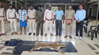 धौड़ाई में वन विभाग की बड़ी कार्रवाई, 3 आरोपियों के कब्जे से तेंदुए की खाल जब्त