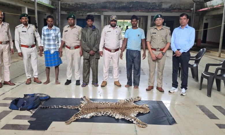 धौड़ाई में वन विभाग की बड़ी कार्रवाई, 3 आरोपियों के कब्जे से तेंदुए की खाल जब्त धौड़ाई में वन विभाग की बड़ी कार्रवाई, 3 आरोपियों के कब्जे से तेंदुए की खाल जब्त