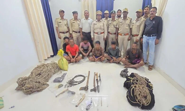 इन्द्रावती टाइगर रिजर्व में वन्यजीव शिकार पर बड़ी कार्रवाई, 6 आरोपी गिरफ्तार
