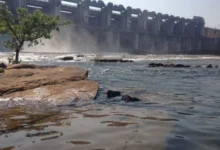 मानसूनी बारिश के चलते बड़े, मध्यम और छोटे बांधों तथा जलाशयों में जलभराव, 88 फीसदी भंडारण