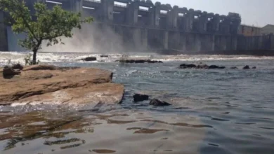 मानसूनी बारिश के चलते बड़े, मध्यम और छोटे बांधों तथा जलाशयों में जलभराव, 88 फीसदी भंडारण