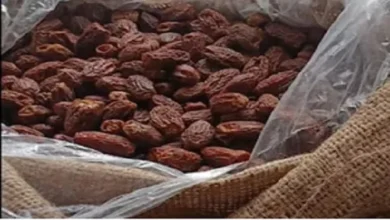 पाकिस्तानी सूखा खजूर जब्त, बाजार मूल्य 3 करोड़ रुपये