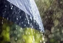 छत्तीसगढ़ में झमाझम हुई बारिश, राज्य में 647.3 मि.मी. औसत वर्षा दर्ज