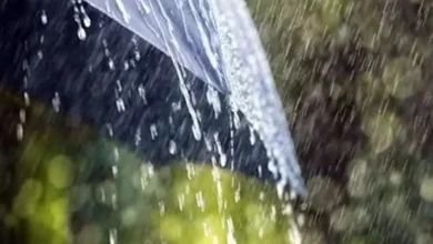 छत्तीसगढ़ में झमाझम हुई बारिश, राज्य में 647.3 मि.मी. औसत वर्षा दर्ज