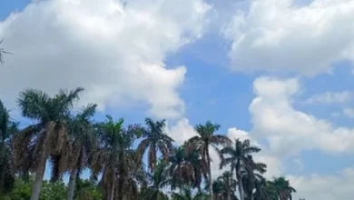 छत्तीसगढ़ में फिर बदलेगा मौसम, अगले 3 दिनों तक बारिश के आसार