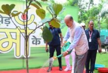 राज्यपाल ने ‘एक पेड़ मां के नाम’ अभियान के तहत   लगाया    पौधा