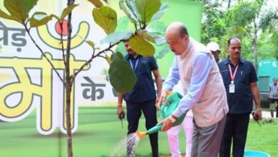 राज्यपाल ने ‘एक पेड़ मां के नाम’ अभियान के तहत   लगाया    पौधा