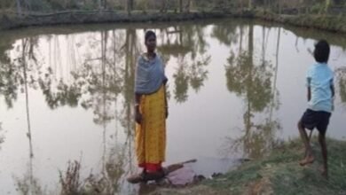 बिहान बनी बदलाव की बयार: मजदूरी से आत्मनिर्भरता की राह पर नारायणपुर की जेलो बाई, हर माह कमा रहीं 30 हजार रुपये