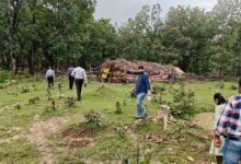 मलेरिया के खिलाफ जंगलों में उतरा स्वास्थ्य महकमा, संवेदनशील इलाकों की परखी तैयारियां
