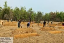 मनरेगा से बदली निम्मलगुड़ा की तस्वीर